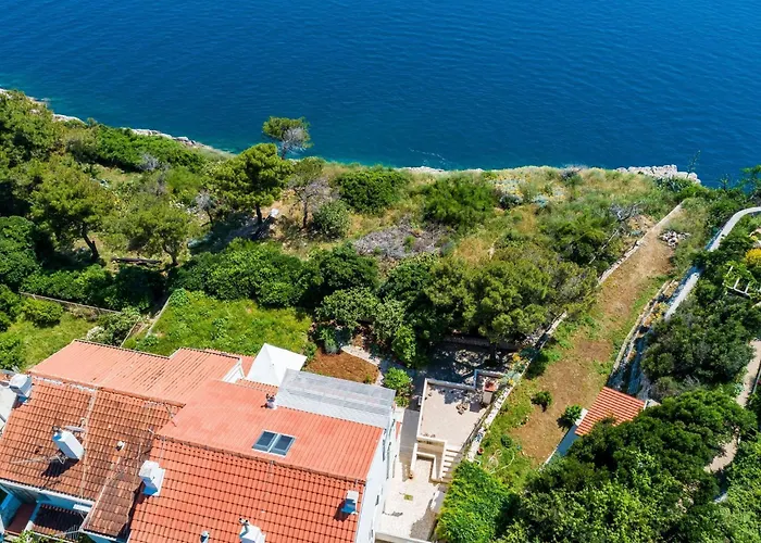 Apartament With Terrace And Sea View